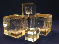 Group of Cubes, Natural Light