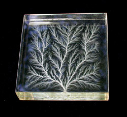 2" square, branched