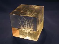 Another cube in natural light